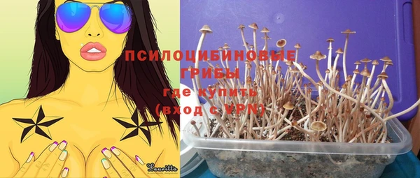 каннабис Аркадак