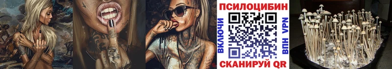 Псилоцибиновые грибы Psilocybe  Минеральные Воды 