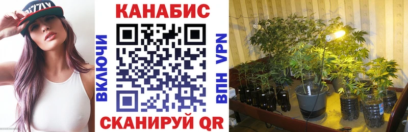 Канабис план  Минеральные Воды 